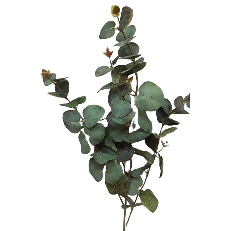 Tall Eucalyptus Spray - Dusky Green