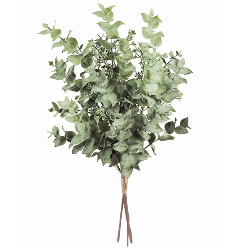 Seeded Eucalyptus Bundle - 61cm