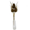 Dried Thistle Bundle