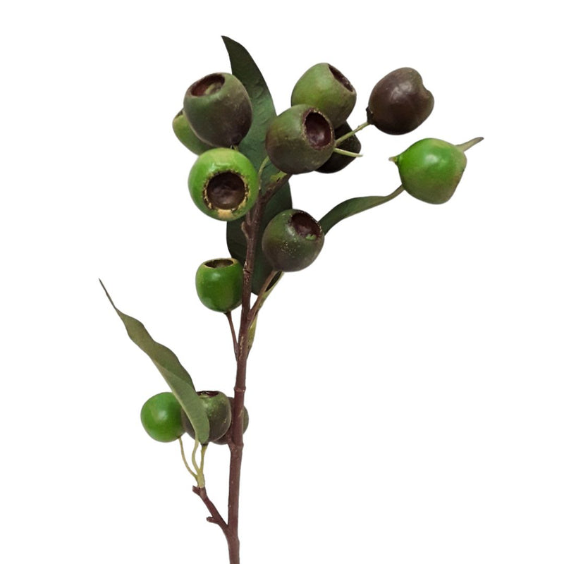 Medium Native Gum Nut - Green