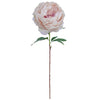 Large Queen Peony - Light Pink