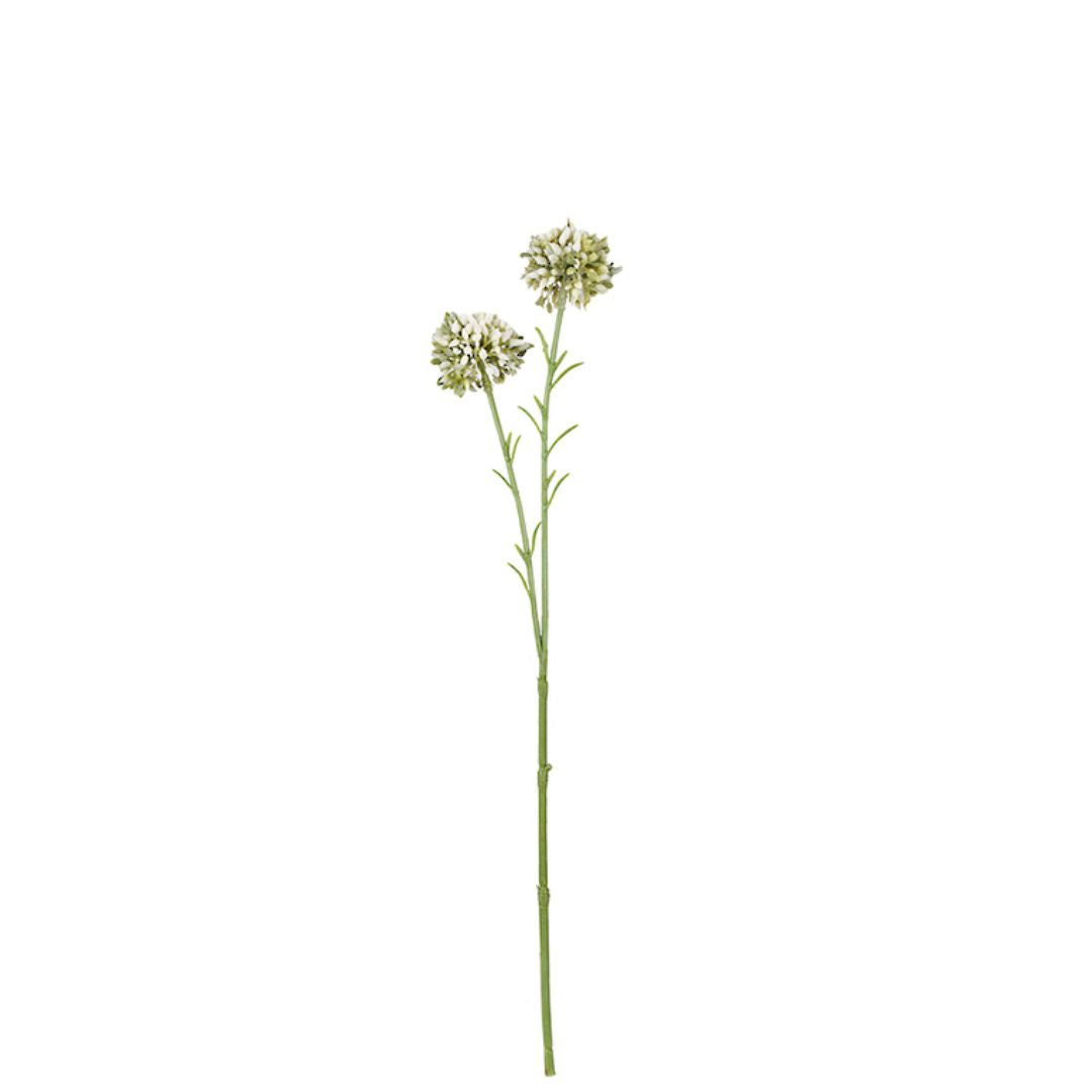 Mini Allium Spray: Cream - 46cm