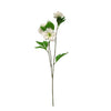 Tall Christmas Rose - Cream