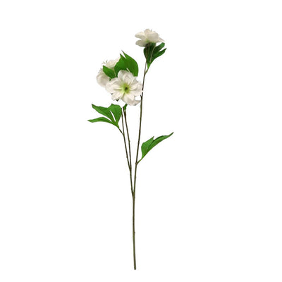 Tall Christmas Rose - Cream