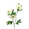 Tall Christmas Rose - Cream