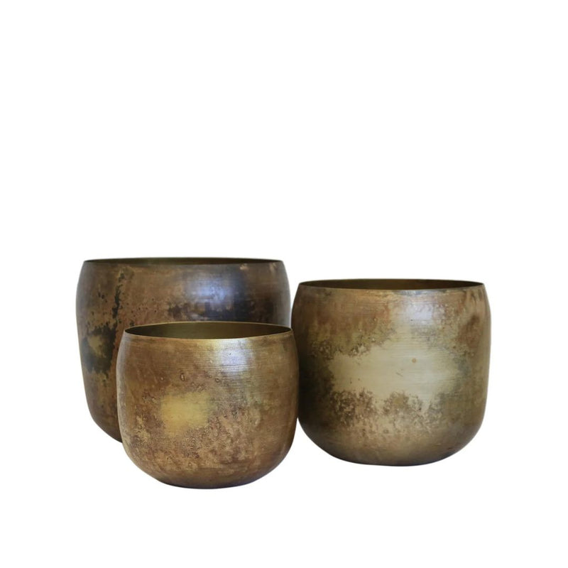 Haveli Planter in Antique Brass Finish - Medium